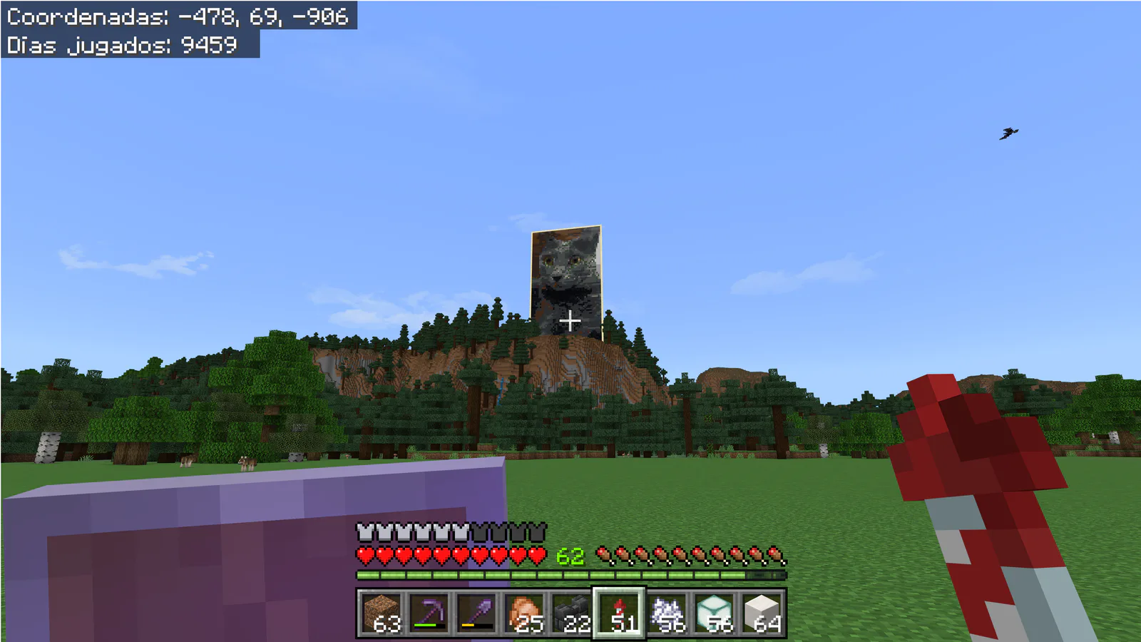 Foto de mi gatita · in Mundo Forever · Minecraft Bedrock 26.45 · day 9300